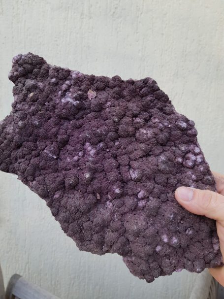 Morceau de tartre formant des cristaux mauve